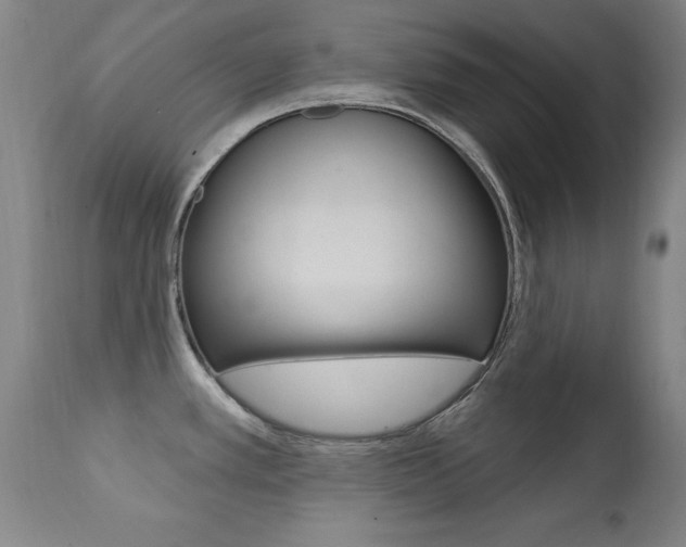 X0000111581389200907161145