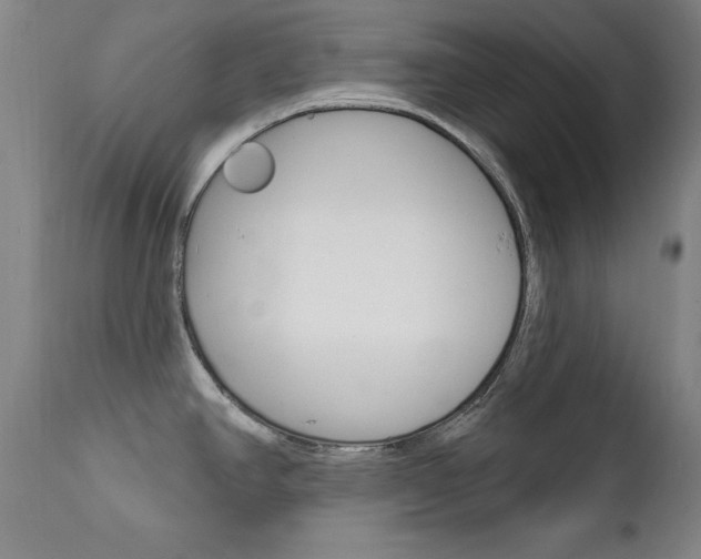 X0000111581390200907161145