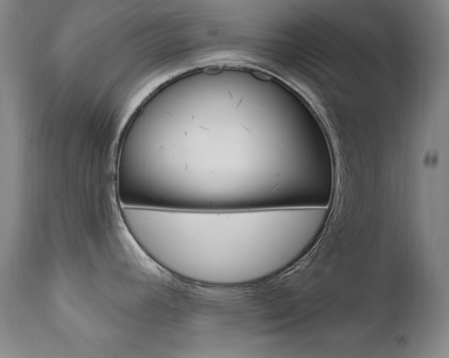 X0000111581392200907161145