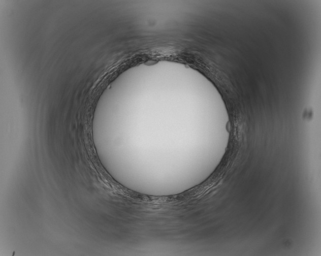 X0000111581393200907161144