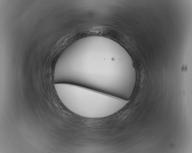 X0000111581394200907161144