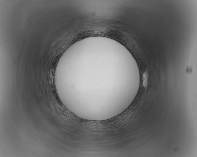 X0000111581395200907161144