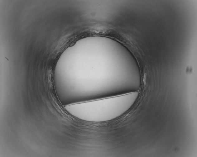 X0000111581396200907161144