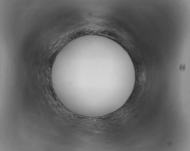 X0000111581397200907161144