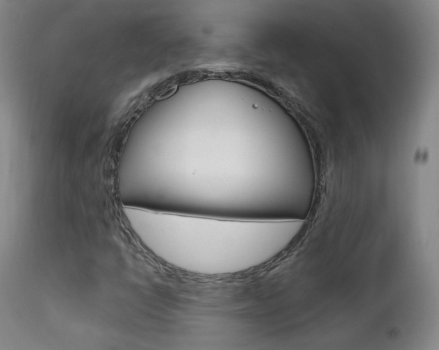 X0000111581398200907161144