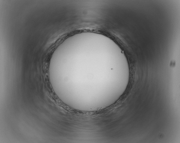X0000111581399200907161144