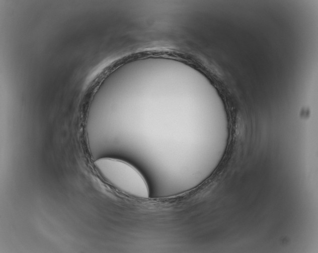X0000111581400200907161144