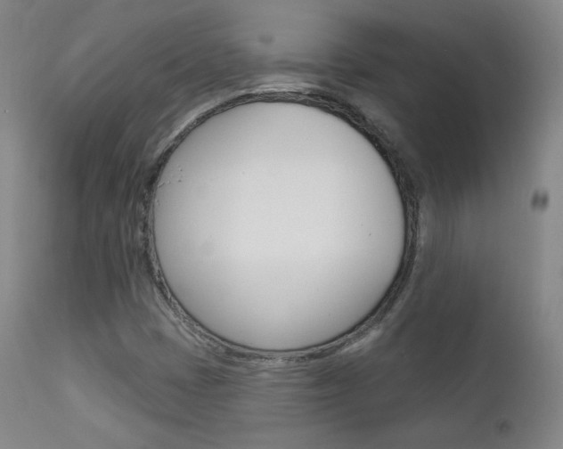 X0000111581401200907161144