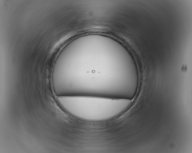 X0000111581402200907161144
