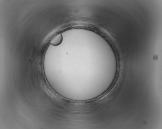 X0000111581403200907161144