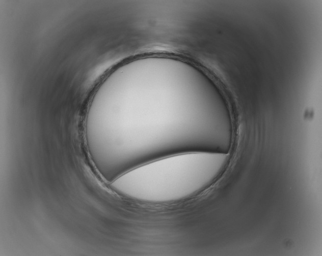 X0000111581404200907161144