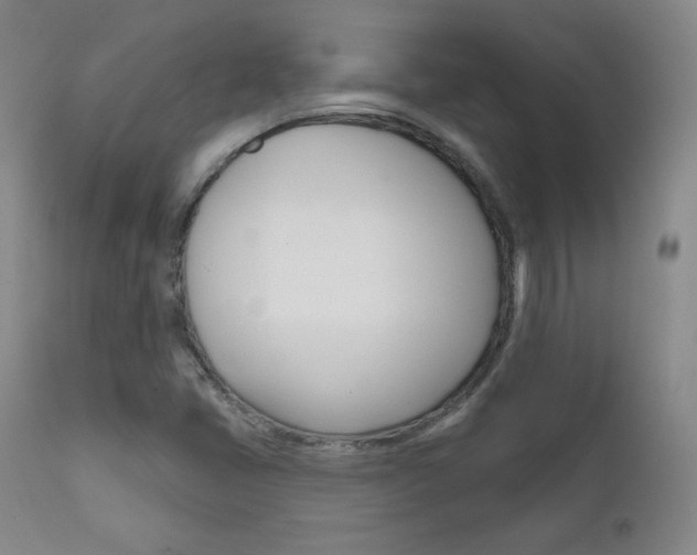 X0000111581405200907161144