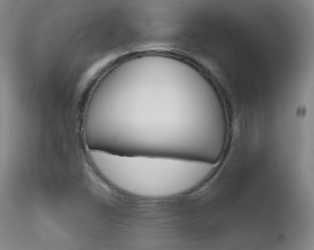 X0000111581406200907161144