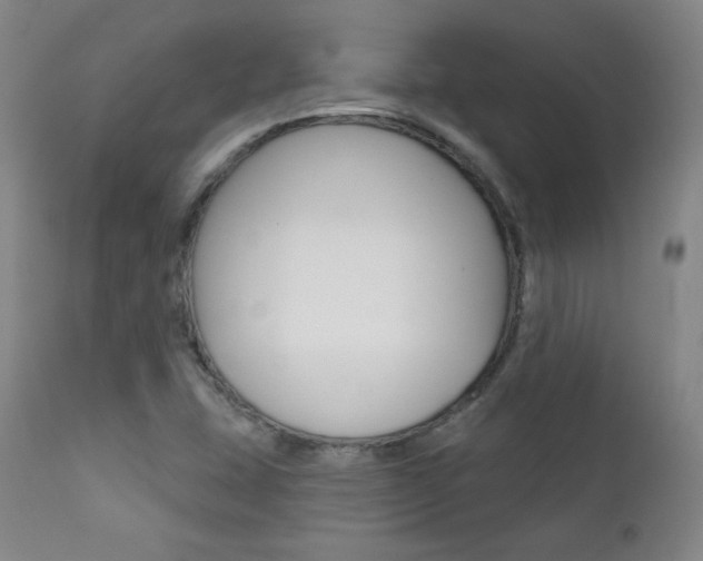 X0000111581407200907161144