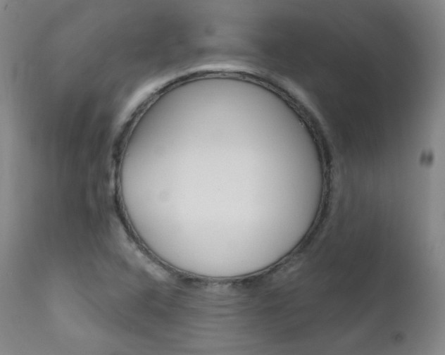 X0000111581408200907161144