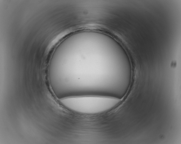 X0000111581410200907161144