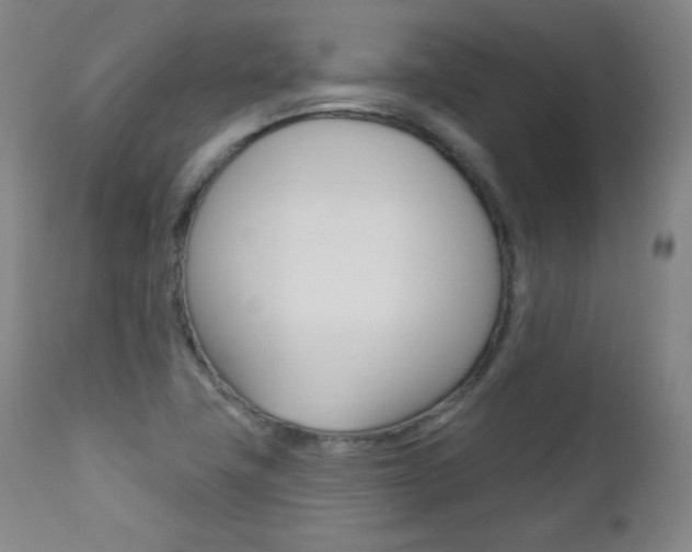 X0000111581411200907161144