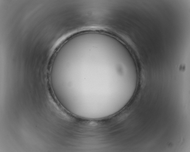 X0000111581412200907161144