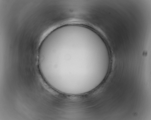 X0000111581413200907161144