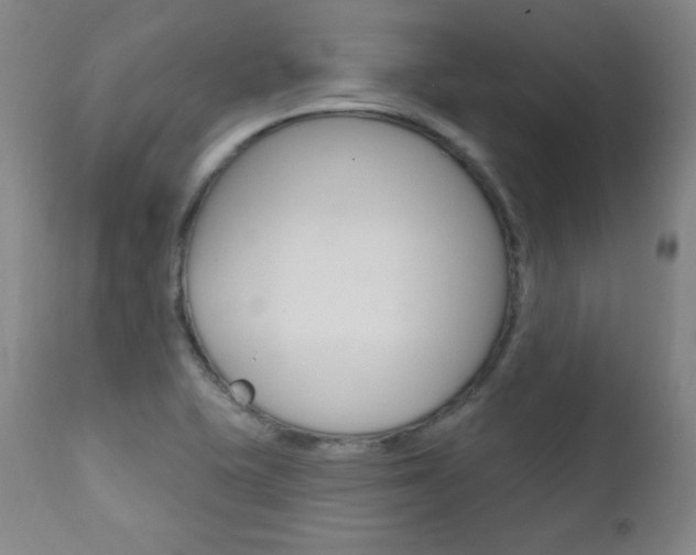 X0000111581415200907161144