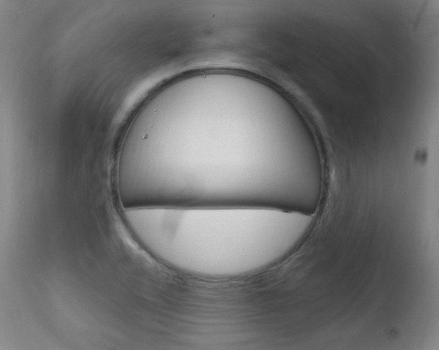 X0000111581416200907161144