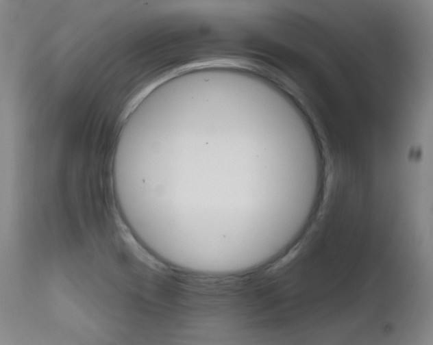 X0000111581417200907161144