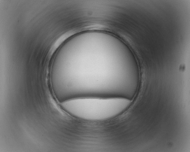 X0000111581418200907161144