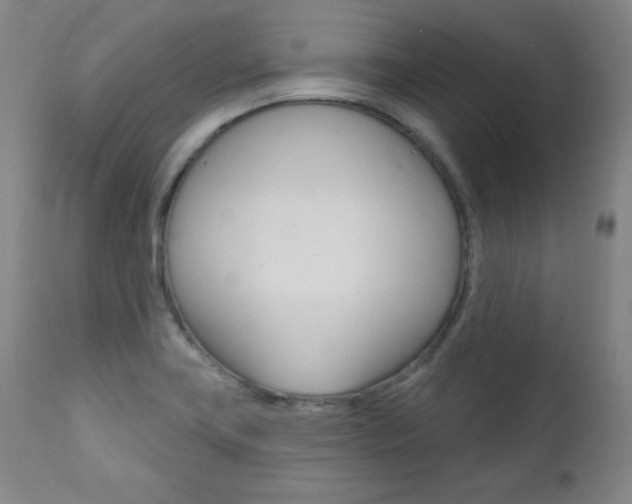 X0000111581419200907161144