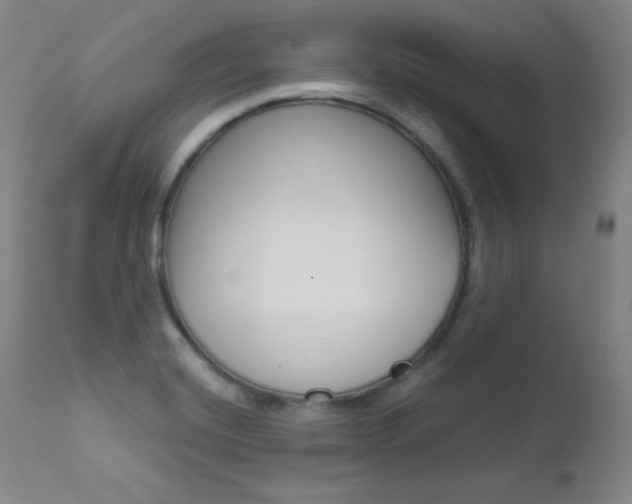 X0000111581420200907161144