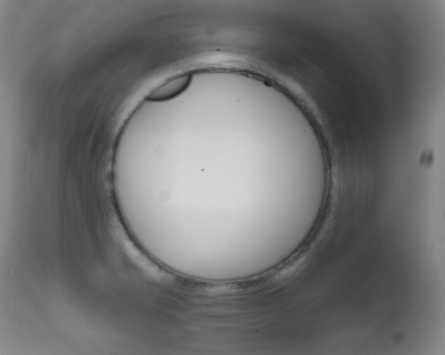 X0000111581421200907161144