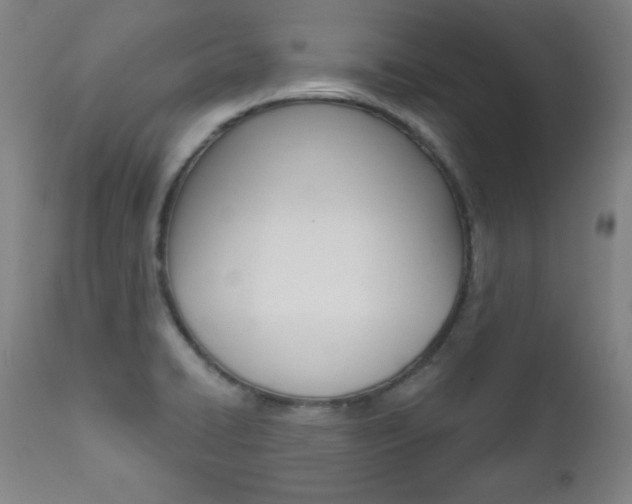 X0000111581422200907161144