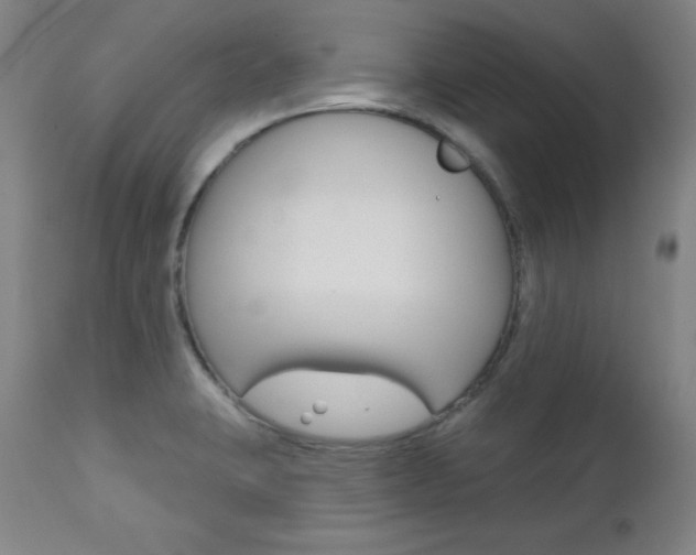 X0000111581423200907161144