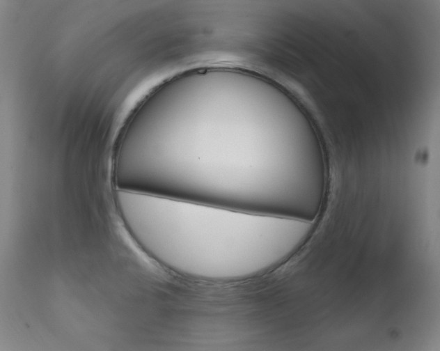 X0000111581424200907161144