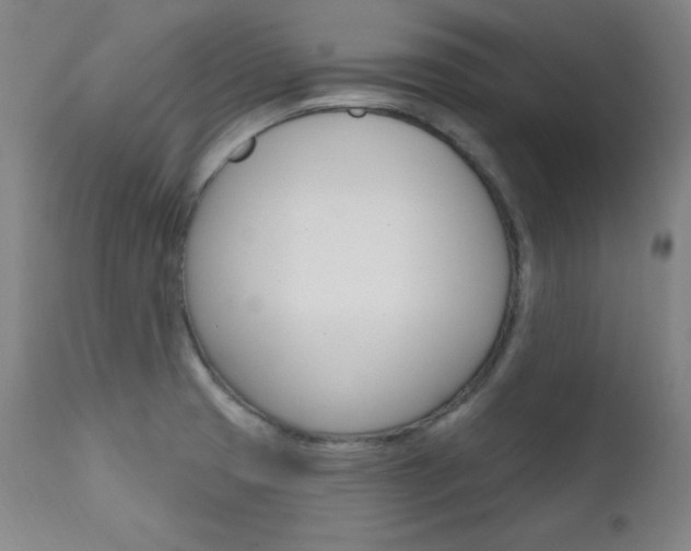 X0000111581425200907161144