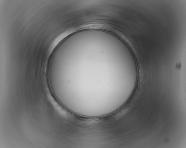 X0000111581426200907161144