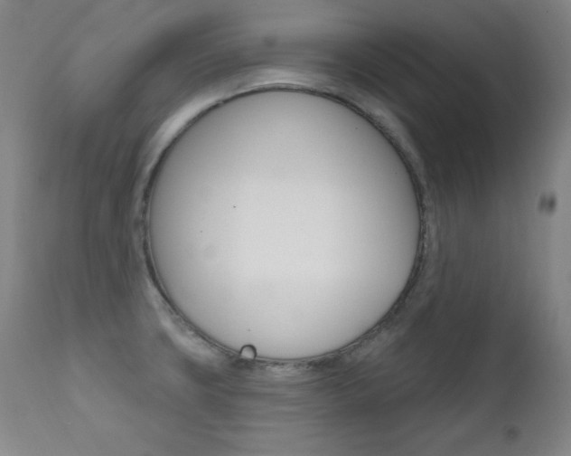X0000111581427200907161145