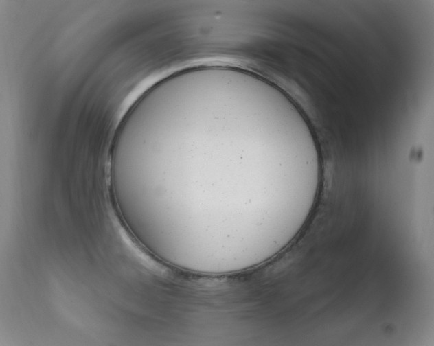 X0000111581428200907161145