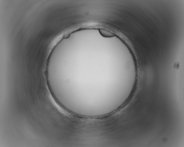 X0000111581429200907161145
