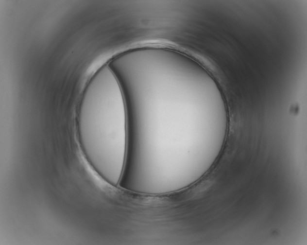X0000111581430200907161145