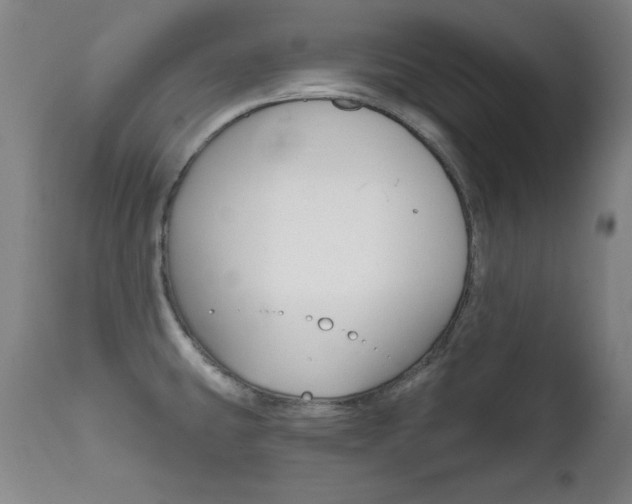 X0000111581431200907161145