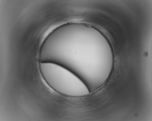 X0000111581432200907161145