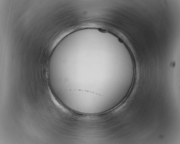 X0000111581433200907161145