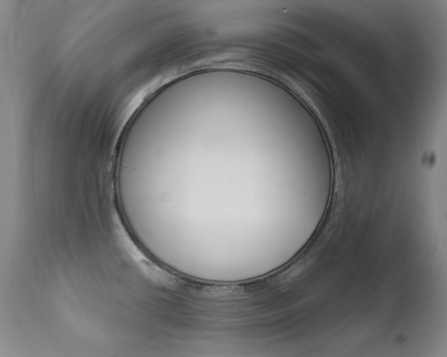 X0000111581434200907161145