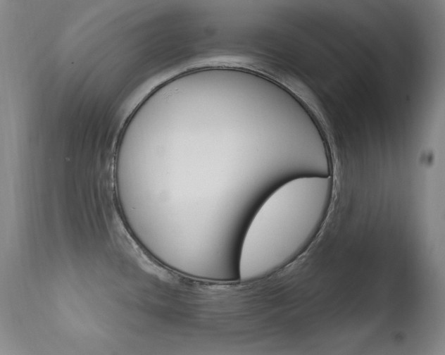 X0000111581436200907161145