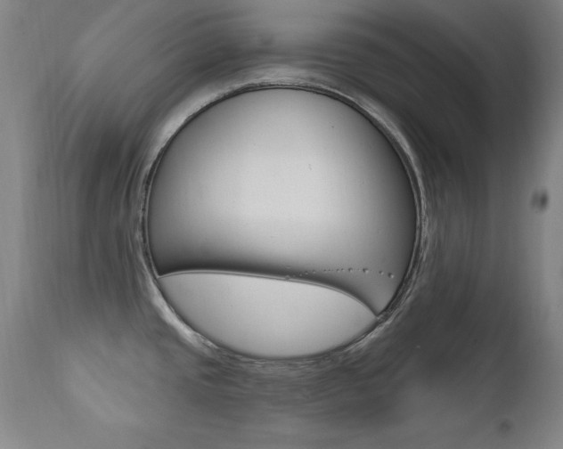 X0000111581437200907161145