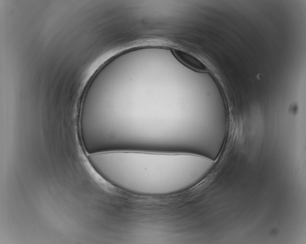 X0000111581438200907161145