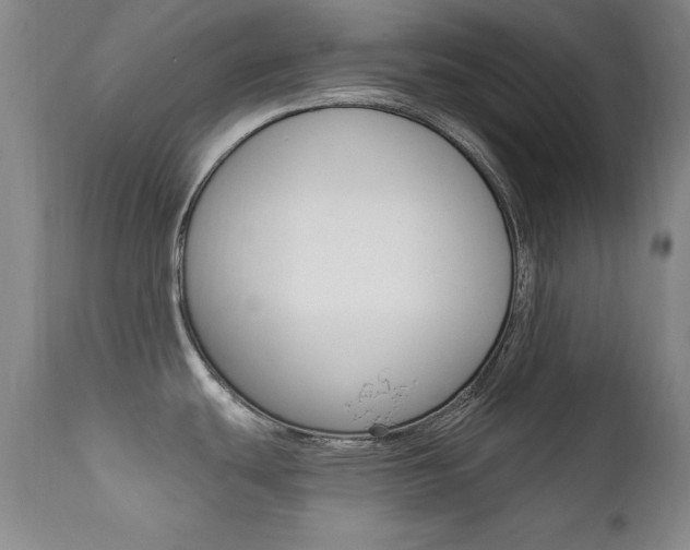 X0000111581439200907161145