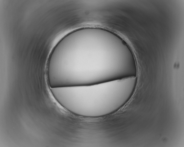 X0000111581440200907161145