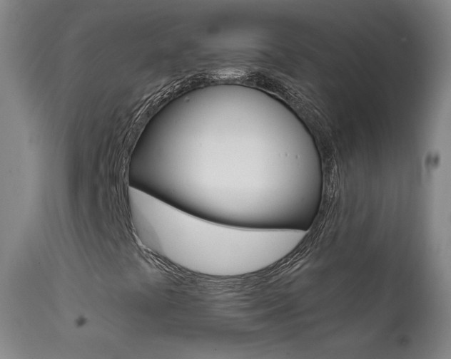 X0000111581441200907161144