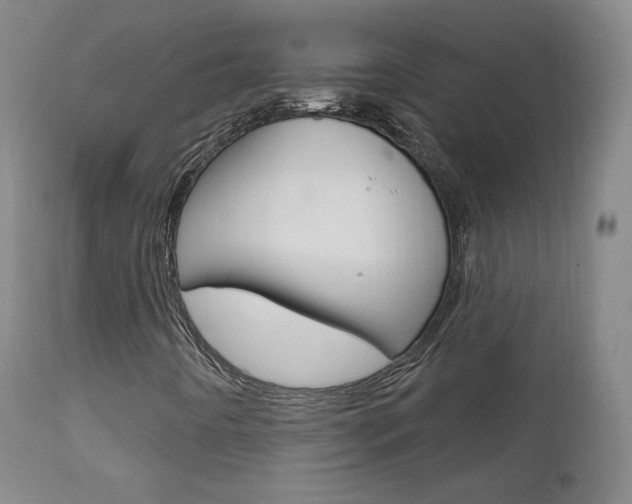 X0000111581442200907161144